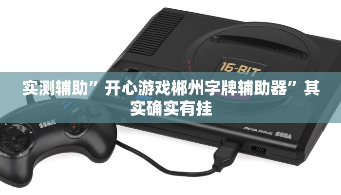 实测辅助”开心游戏郴州字牌辅助器”其实确实有挂
