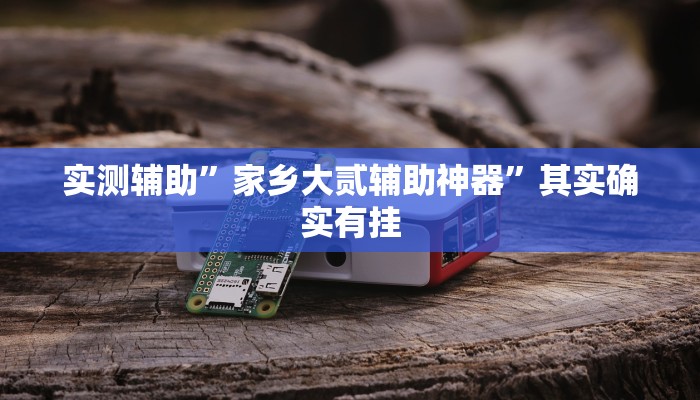 实测辅助”家乡大贰辅助神器”其实确实有挂