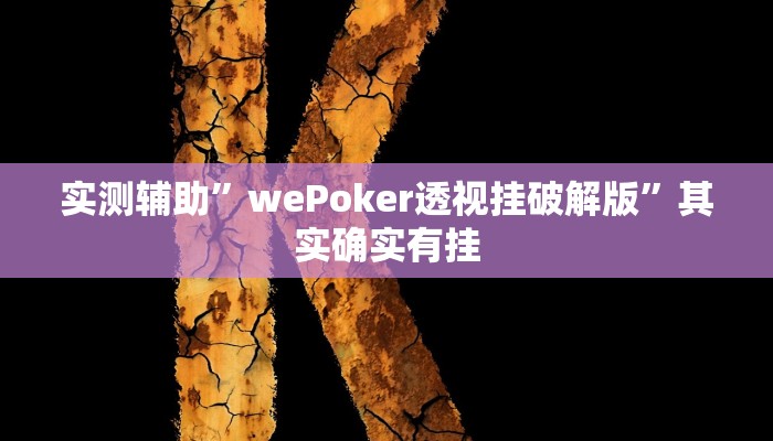 实测辅助”wePoker透视挂破解版”其实确实有挂