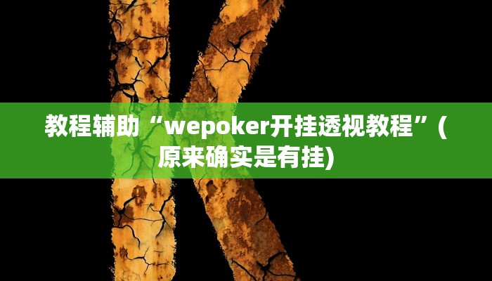 实测辅助”玄灵大厅透视辅助”(详细开挂教程)