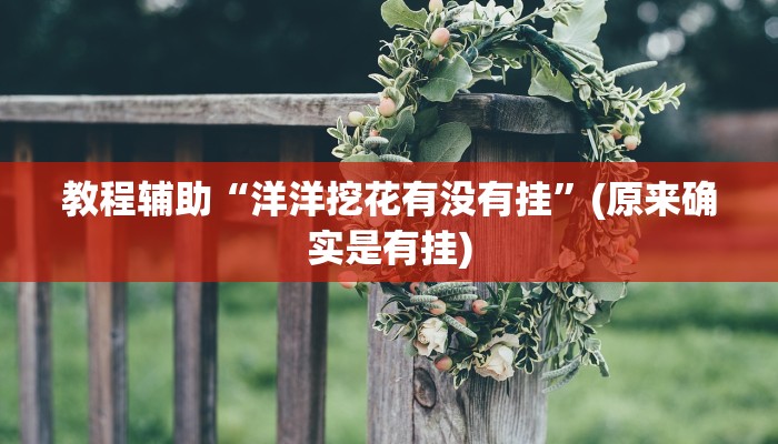 教程辅助“洋洋挖花有没有挂”(原来确实是有挂)