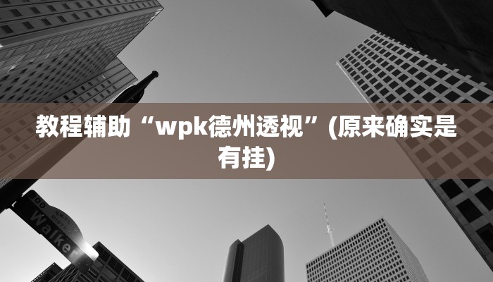 教程辅助“wpk德州透视”(原来确实是有挂)