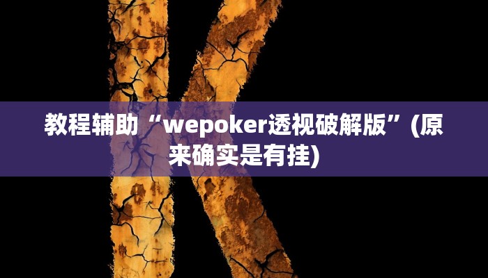 教程辅助“wepoker透视破解版”(原来确实是有挂)