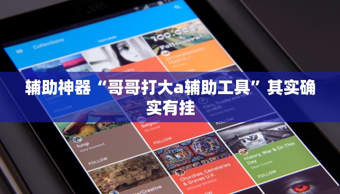 辅助神器“哥哥打大a辅助工具”其实确实有挂