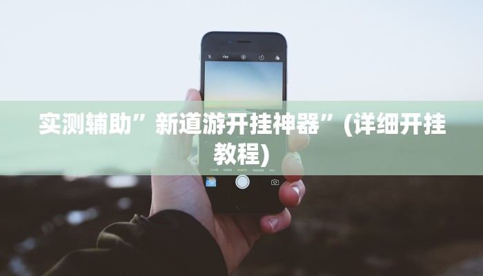 实测辅助”新道游开挂神器”(详细开挂教程)