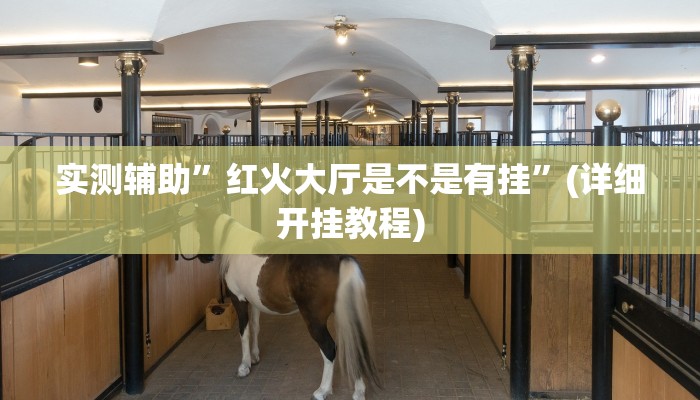 实测辅助”红火大厅是不是有挂”(详细开挂教程)