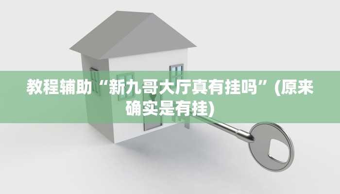 教程辅助“新九哥大厅真有挂吗”(原来确实是有挂)