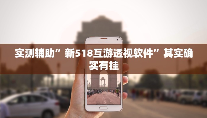 实测辅助”新518互游透视软件”其实确实有挂