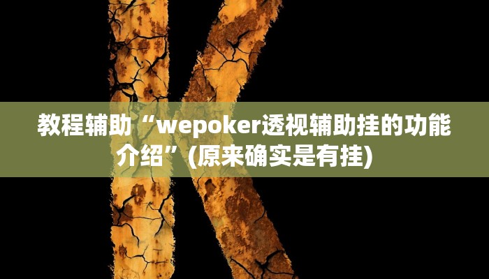 教程辅助“wepoker透视辅助挂的功能介绍”(原来确实是有挂)