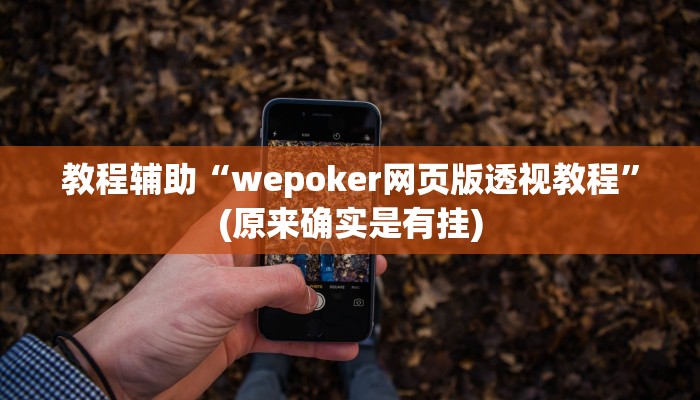教程辅助“wepoker网页版透视教程”(原来确实是有挂)
