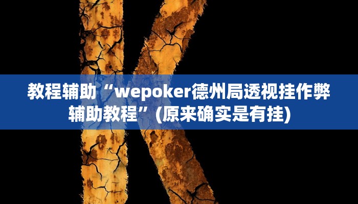 教程辅助“wepoker德州局透视挂作弊辅助教程”(原来确实是有挂)