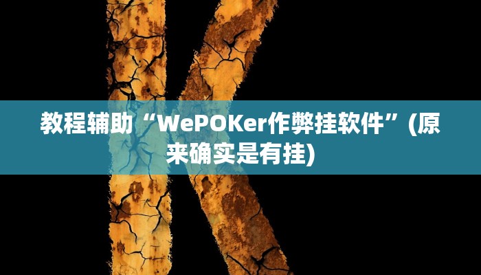 教程辅助“WePOKer作弊挂软件”(原来确实是有挂)
