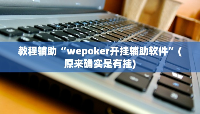 教程辅助“wepoker开挂辅助软件”(原来确实是有挂)
