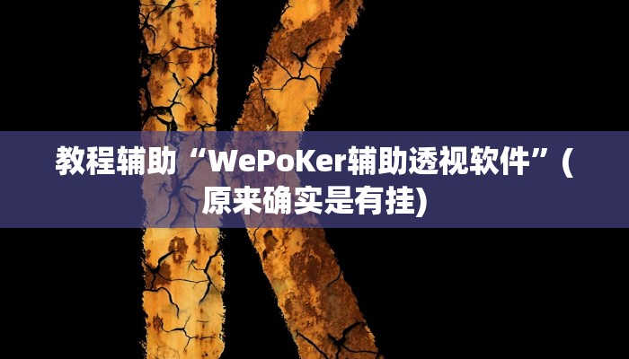 教程辅助“WePoKer辅助透视软件”(原来确实是有挂)