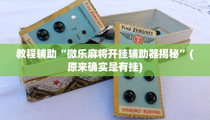 教程辅助“微乐麻将开挂辅助器揭秘”(原来确实是有挂)