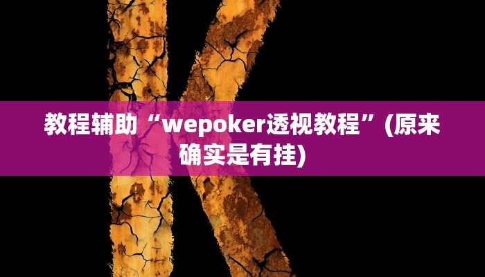 教程辅助“wepoker透视教程”(原来确实是有挂)