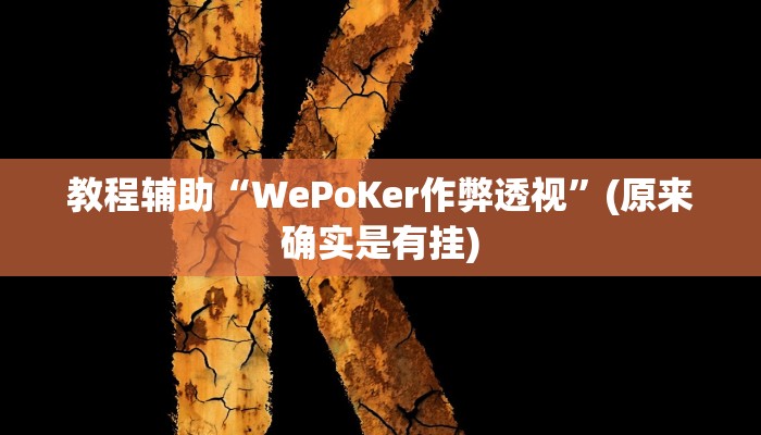 教程辅助“WePoKer作弊透视”(原来确实是有挂)