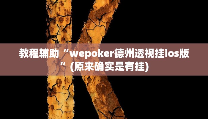 教程辅助“wepoker德州透视挂ios版”(原来确实是有挂)