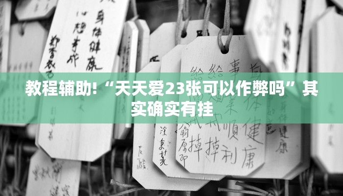 教程辅助!“天天爱23张可以作弊吗”其实确实有挂