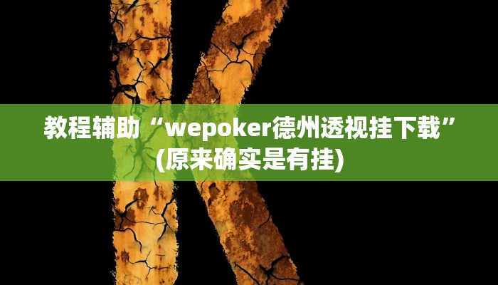 教程辅助“wepoker德州透视挂下载”(原来确实是有挂)