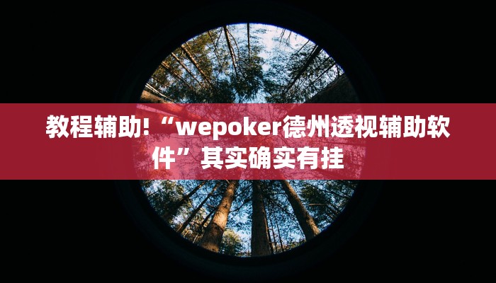 教程辅助!“wepoker德州透视辅助软件”其实确实有挂