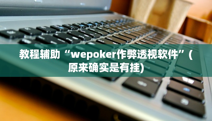 教程辅助“wepoker作弊透视软件”(原来确实是有挂)