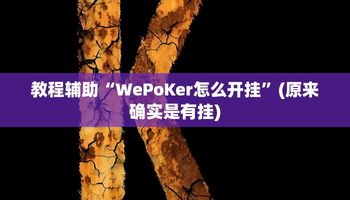 教程辅助“WePoKer怎么开挂”(原来确实是有挂)