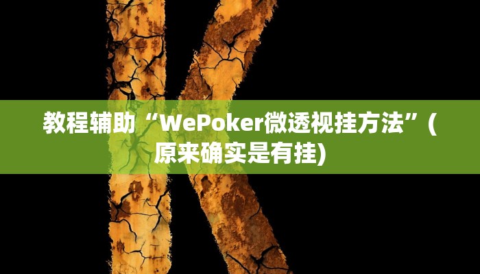 教程辅助“WePoker微透视挂方法”(原来确实是有挂)