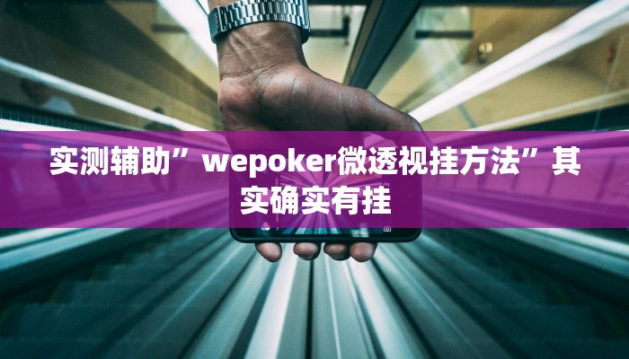 教程辅助“[德扑之星]有透视吗可以挂”(原来确实是有挂)