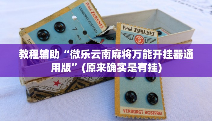 教程辅助“微乐云南麻将万能开挂器通用版”(原来确实是有挂)