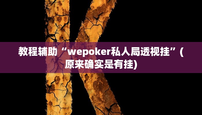 教程辅助“wepoker私人局透视挂”(原来确实是有挂)