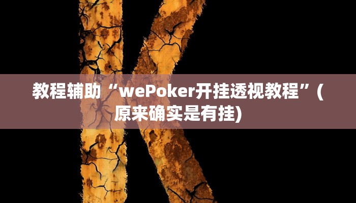 教程辅助“wePoker开挂透视教程”(原来确实是有挂)