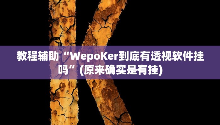 教程辅助“WepoKer到底有透视软件挂吗”(原来确实是有挂)