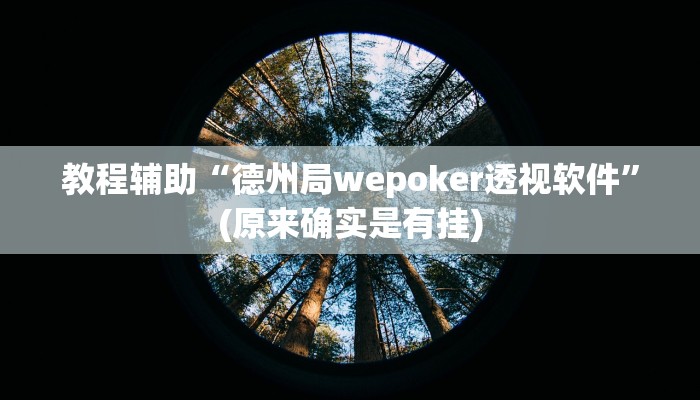教程辅助“德州局wepoker透视软件”(原来确实是有挂)