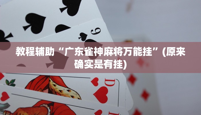 教程辅助“德娴麻将怎么开挂”(原来确实是有挂)