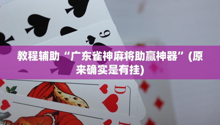 教程辅助“广东雀神麻将助赢神器”(原来确实是有挂)