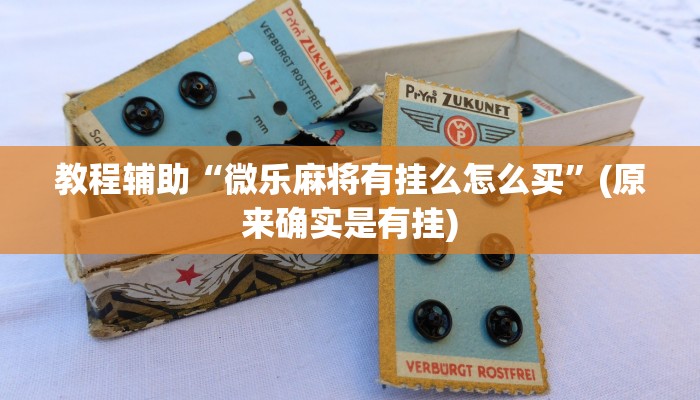 教程辅助“微乐麻将有挂么怎么买”(原来确实是有挂)