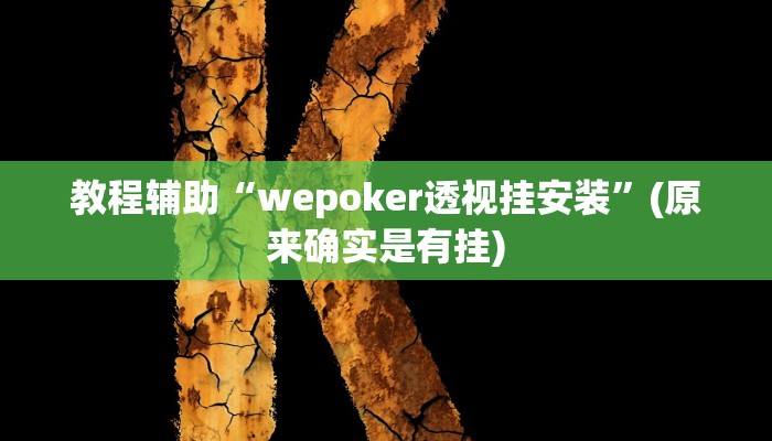 辅助神器“德州wepoker私人局透视挂”其实确实有挂