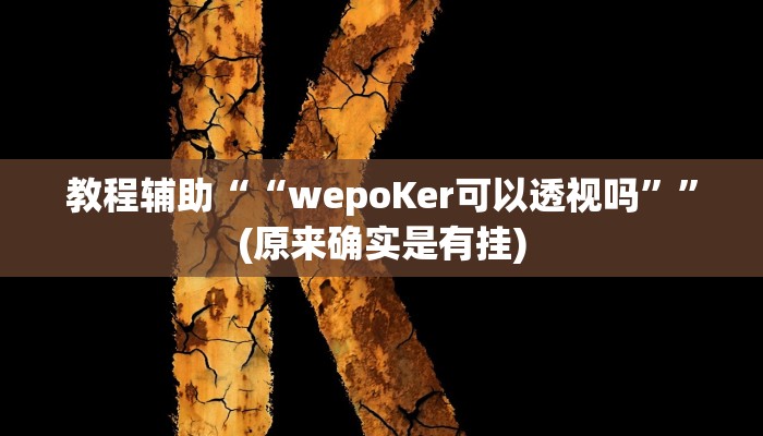 教程辅助““wepoKer可以透视吗””(原来确实是有挂)
