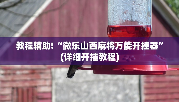 教程辅助“Hhpoker有辅助外挂吗”(原来确实是有挂)