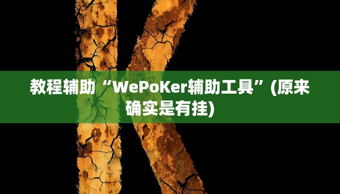 教程辅助!“边锋斗地主透视软件”(详细开挂教程)