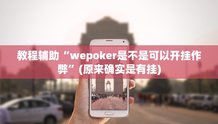 教程辅助“wepoker是不是可以开挂作弊”(原来确实是有挂)