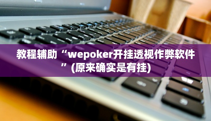教程辅助“wepoker开挂透视作弊软件”(原来确实是有挂)