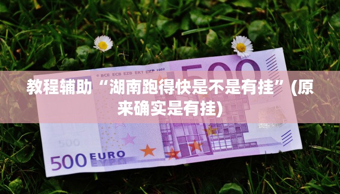 教程辅助“湖南跑得快是不是有挂”(原来确实是有挂)