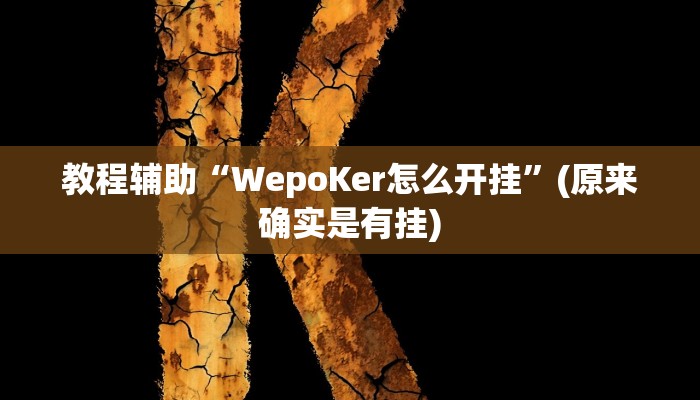 教程辅助“WepoKer怎么开挂”(原来确实是有挂)
