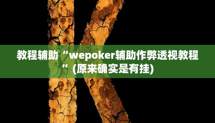 教程辅助“wepoker辅助作弊透视教程”(原来确实是有挂)