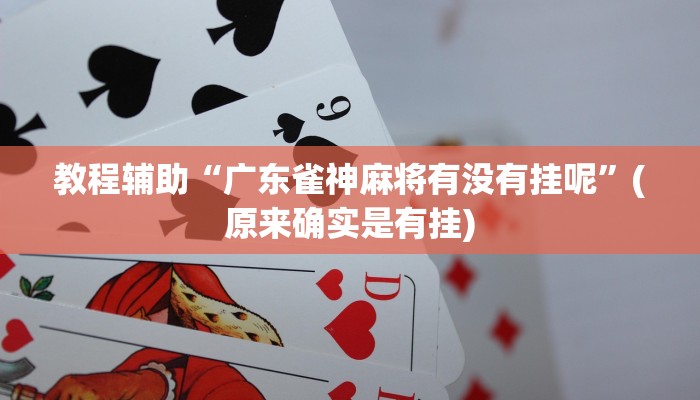 教程辅助“广东雀神麻将有没有挂呢”(原来确实是有挂)