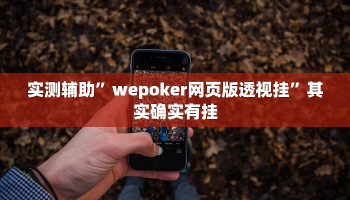 实测辅助”wepoker网页版透视挂”其实确实有挂