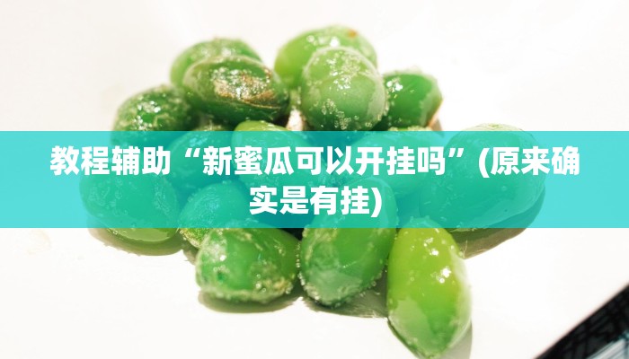 教程辅助“新蜜瓜可以开挂吗”(原来确实是有挂)