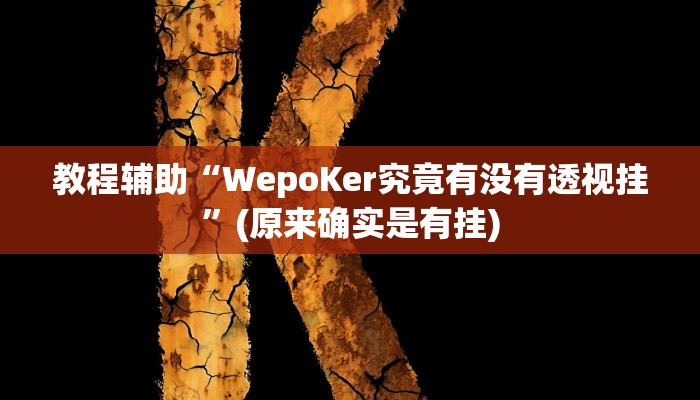 教程辅助“WepoKer究竟有没有透视挂”(原来确实是有挂)